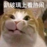 不要熬夜