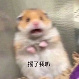 Sig