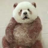 快乐每一天