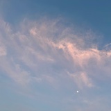 与粽子势不两立