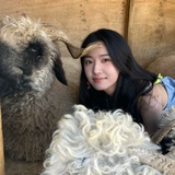 不再熬椰