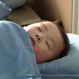 达不溜比