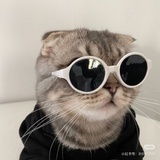 YvE__s