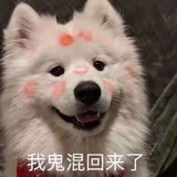 披萨斜塔