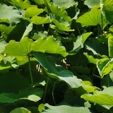 月明风清