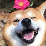 smile,please
