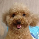 Alfie WDW