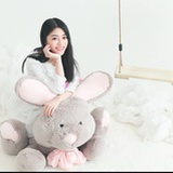 萌哒哒的小胖猫