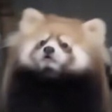 🥺