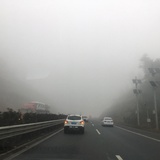 小毛球球