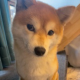 **