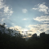 淼