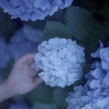 成珏
