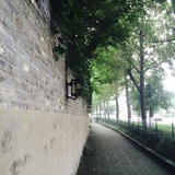 孙小杰