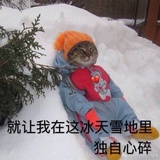 傻傻傻