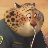 oiillc