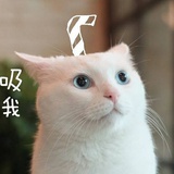 吃饭端大碗