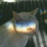 梁开心梁开心梁