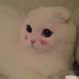 千玺等等我！