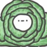 又卷又菜