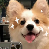 小狗饲养员🐶