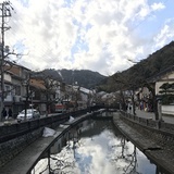 小羊美