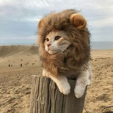 简摄影