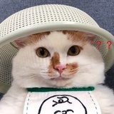 我是嘟嘟