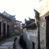 陆瑶