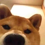 木星的卫星