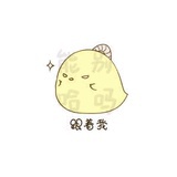 清影绝歌
