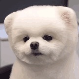 付思超（已休学
