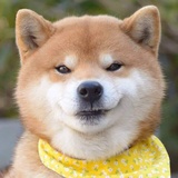 ゛哈库呐嘛塔塔🌻