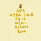 不一