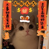 今天发财瘦了吗