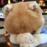 Charle_Wang
