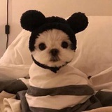 闲