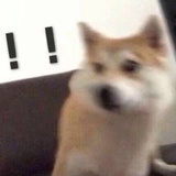片r