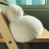 注销中