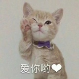 家里有只会喵喵