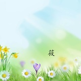 小筱