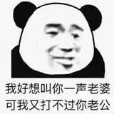 哈尔卑斯