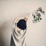 果壳