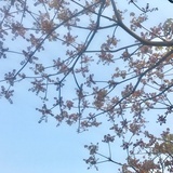 蒙查查醒醒