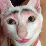 闲人
