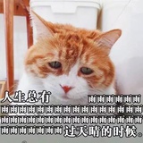 青苹果