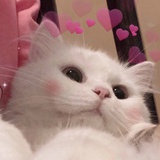 一抹深蓝