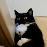 还没注销