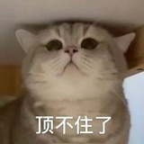 youqu男孩