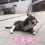 远远